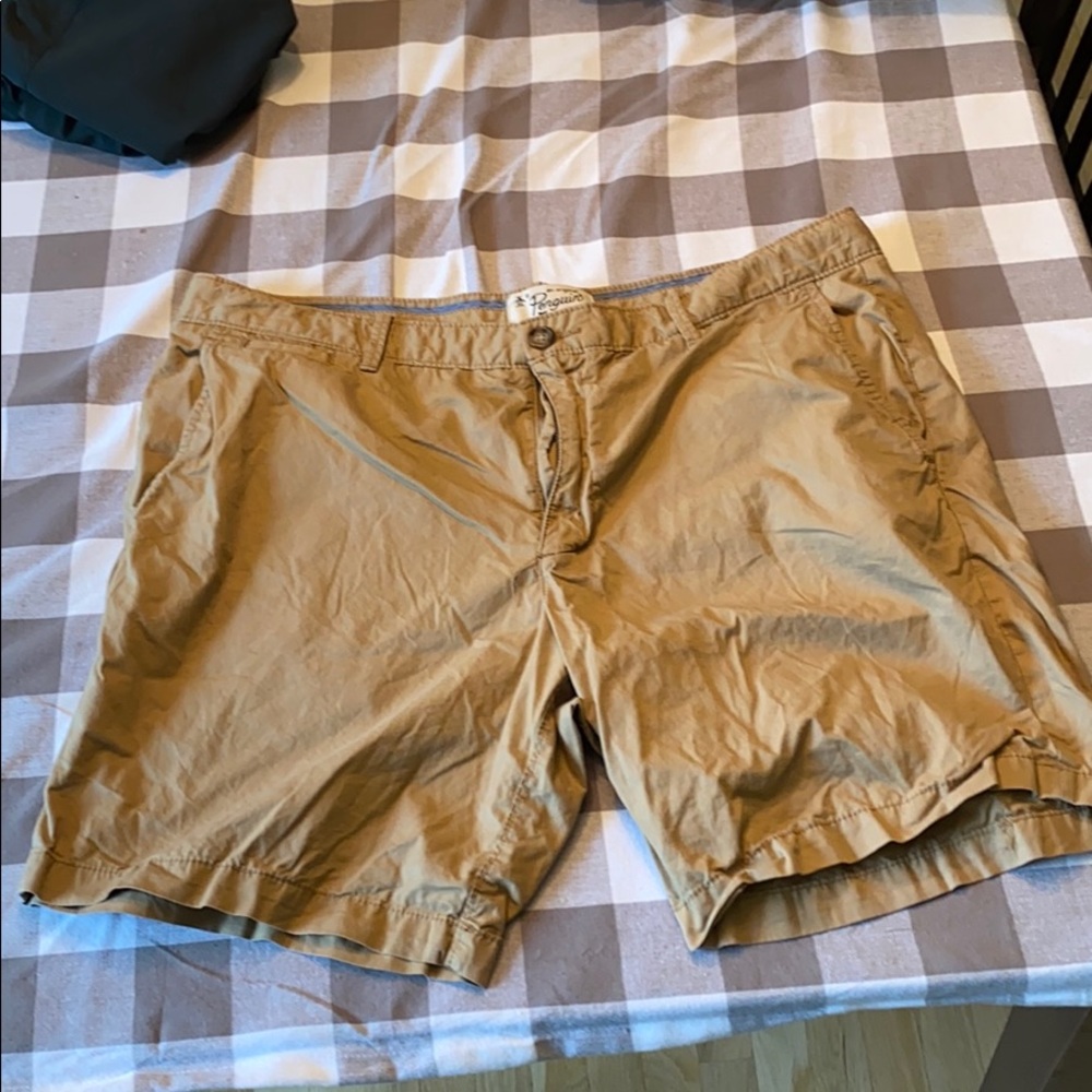 Penguin Khaki Shorts